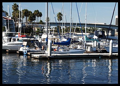 "Harbor Boats"