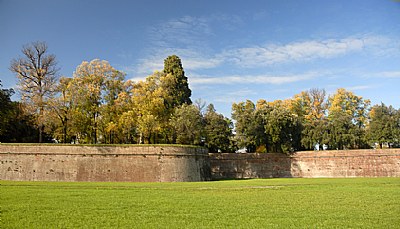 The Wall of Lucca in autumn