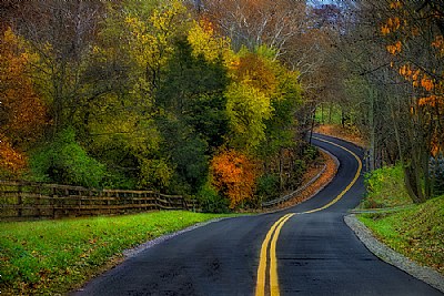 Fall Road