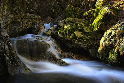 Stories from the canyon