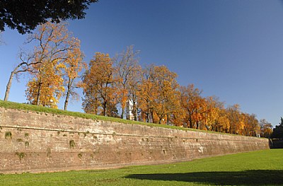 Autumn in Lucca