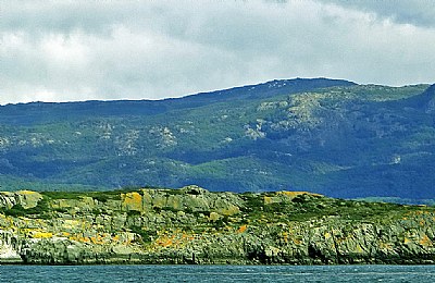 Sea & Rocks & Greenery