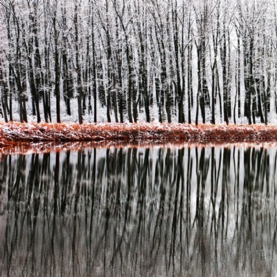 Winter Reflections