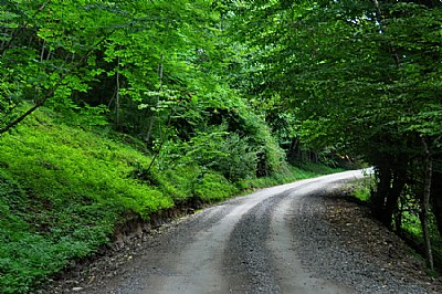 The Green Mile