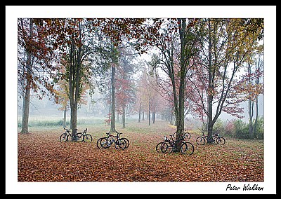 Cycling the Fall