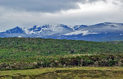 Greenery & Mountain