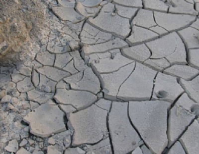 California Topsoil