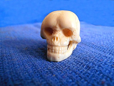 Ivory Skull