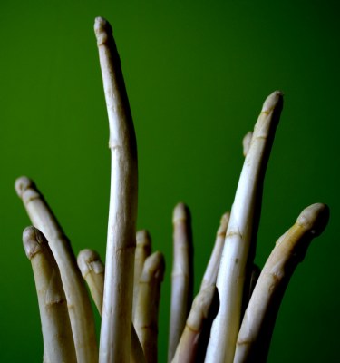 Asparagus 01