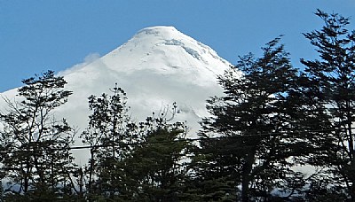 Trees & Volcano