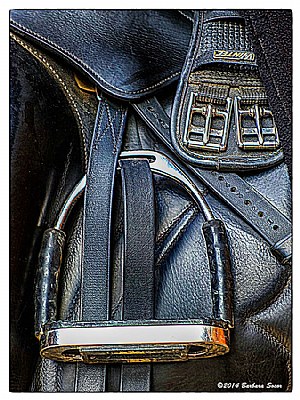 Stirrup