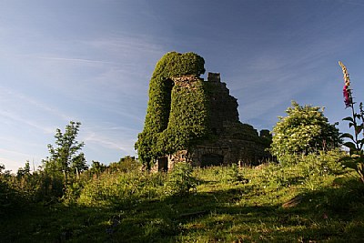 The Ivy Tower, Tonna