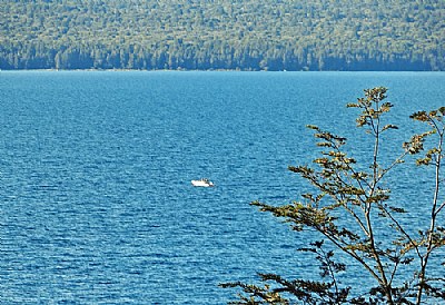 Trees & Boat