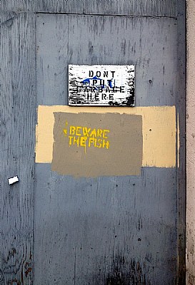 Beware the Fish