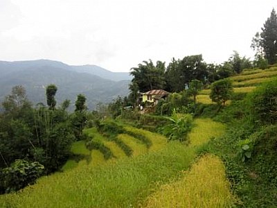 Kalimpong