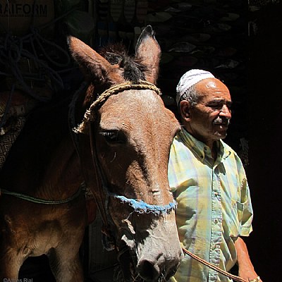 In the Medina of Fes