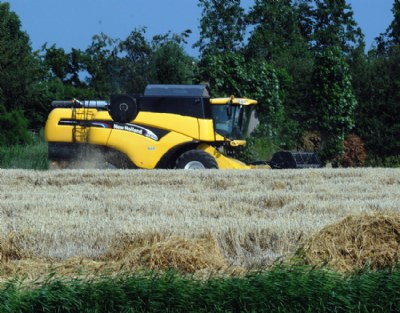 wheat harvest New Holland CX720