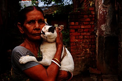 the old woman and her cat