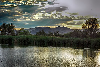 Sunrise at the Henderson Bird Viewing Preserve