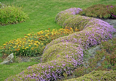 Floral Serpent