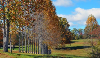 Fall in Bassett Virginia