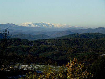 Distant Snow