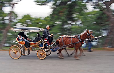 PANNING