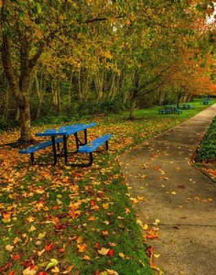 Empty Benches 