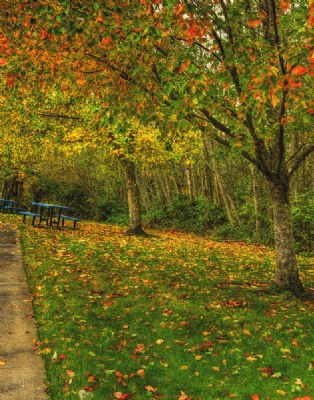 Unoccupied  Benches 