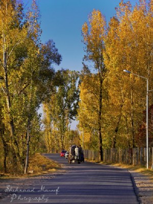 Abbottabad in Autumn