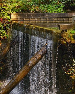 Rakes mill pond spill off