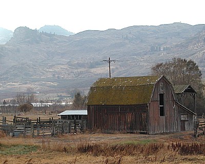 Moss Barn