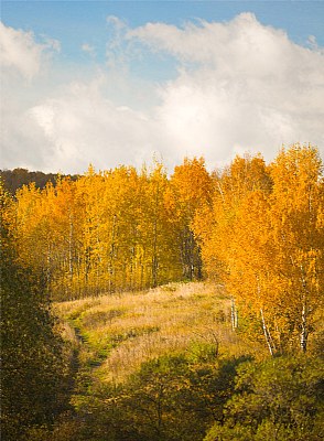Autumn view