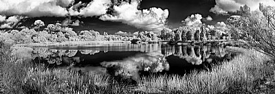 BW Ir..Clouds & Reflections in Pond