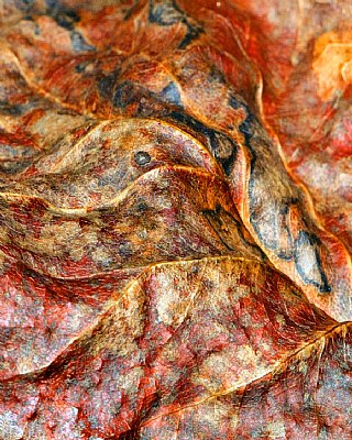 Leaf macro