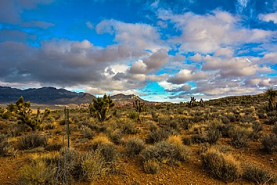 Clouds and fences in mojave