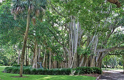 Park of the Museum