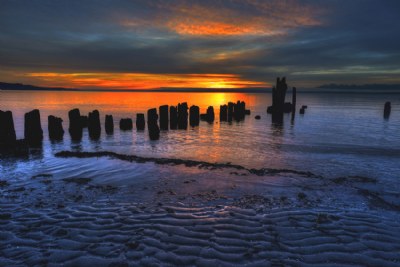 Ripples in the Sand