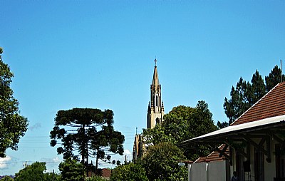 Trees & Church