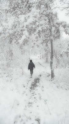 Winter walks