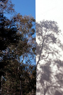 National Gallery of Australia