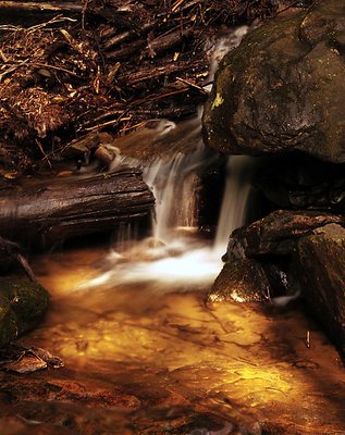 On Golden Pond