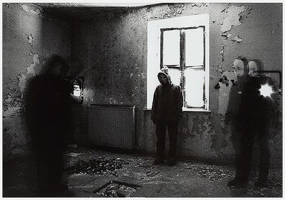 the cold light of day