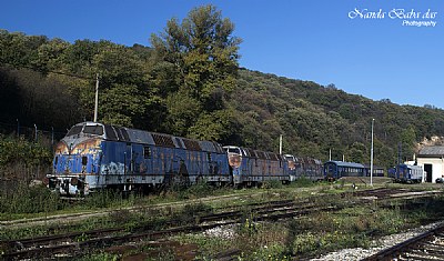 Blue Train