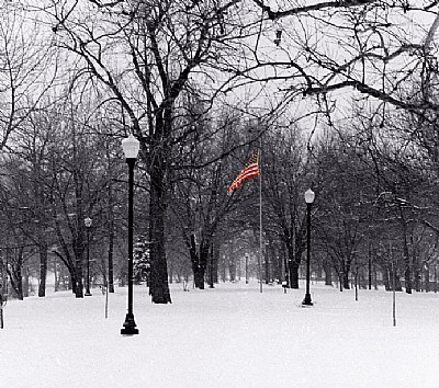 flag in winter