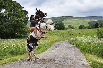 Bare back Rider