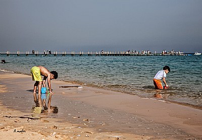 ON THE BEACH