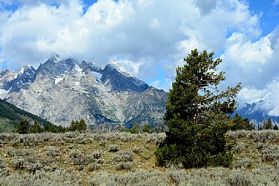 Grand Tetons Glacier