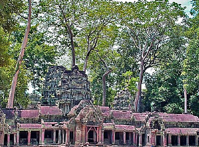 Angkor 11