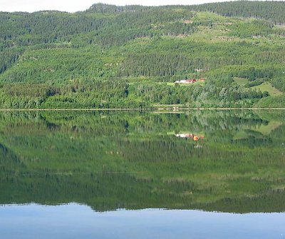 Fiord Reflections